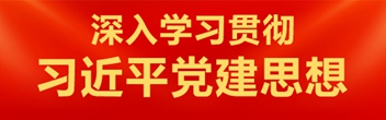 深入学习贯彻习近平党建思想